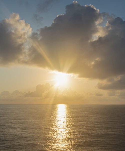 ateliers-ete-feldenkrais-meditation-paris-4