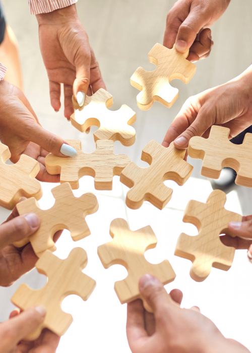 QVT_puzzle_corporate-salaries